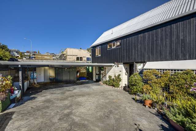 34 Roslyn Road Bluff Hill_4