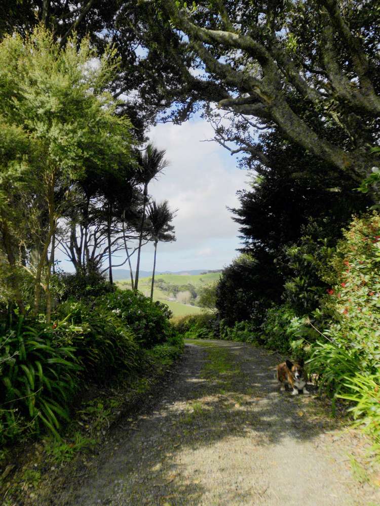 24 Totara Rise Maungaturoto_6