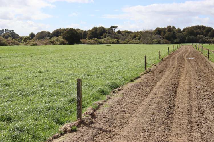 2403 Mountain Road Tariki_23