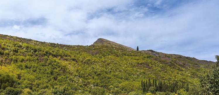 11 Cornwall Street_5