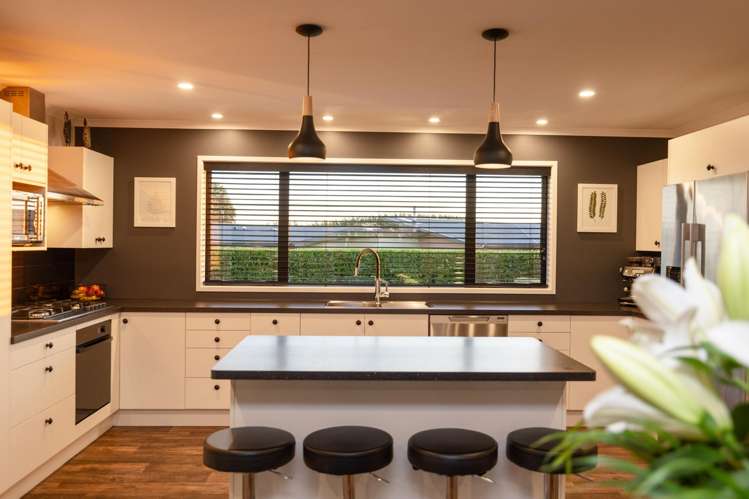 249g Watershed Road Bunnythorpe_5