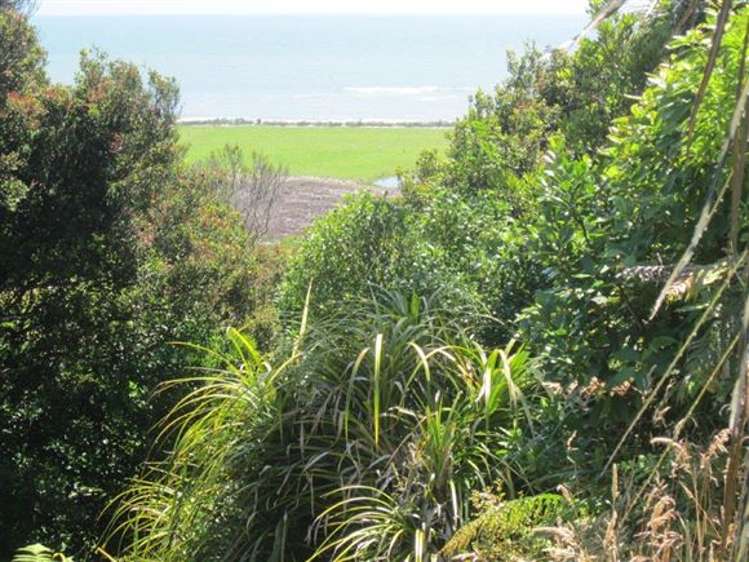 146 Havill Drive Hokitika_6