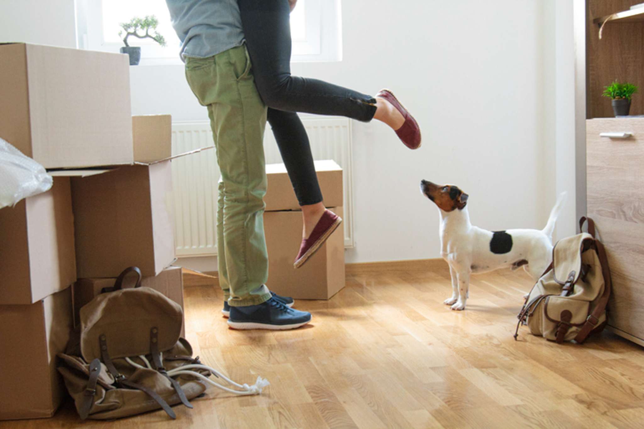 Pets: The new secret to selling apartments