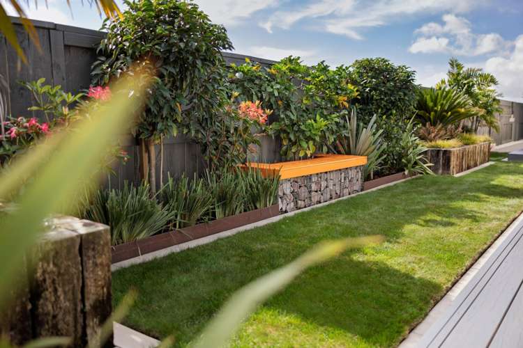 11 Sarcodia Place Papamoa_1