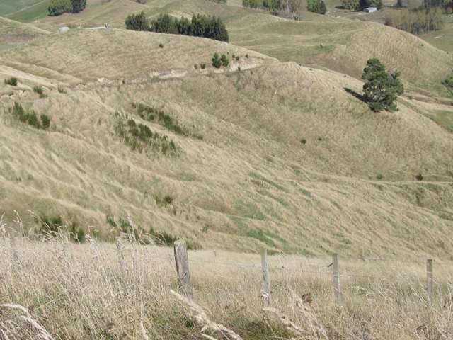 61 Ross Rise Kinloch_2