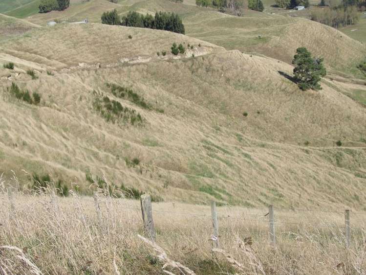 61 Ross Rise Kinloch_2