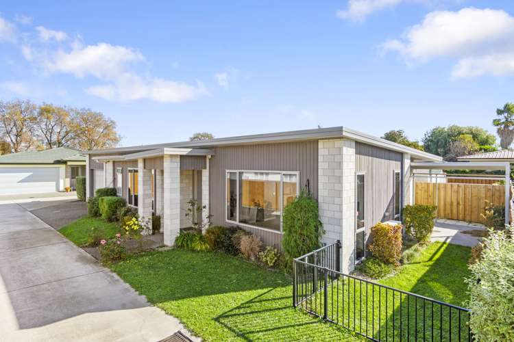 50d Sixteenth Avenue Tauranga South_0