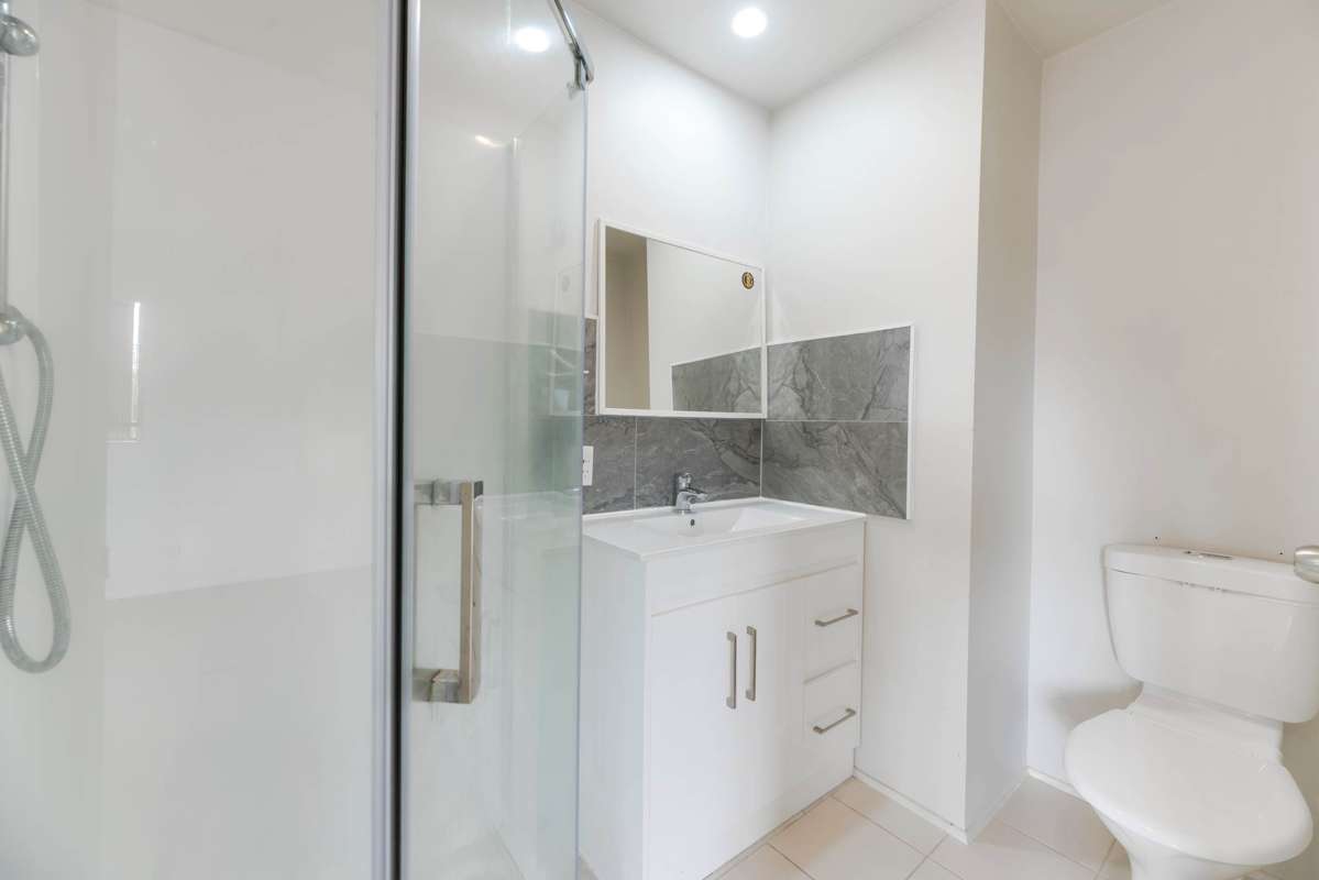 311A Mt Albert Road_1