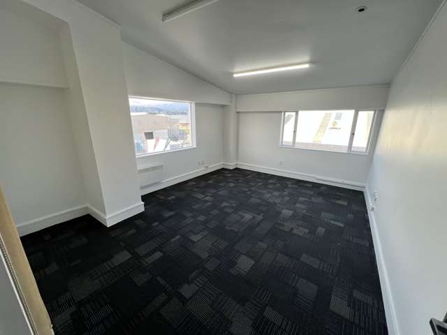 15 Te Puni Street Petone_4