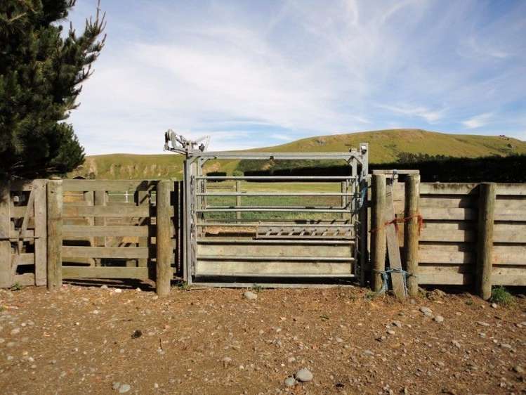 160 Millers Road Gebbies Valley_10