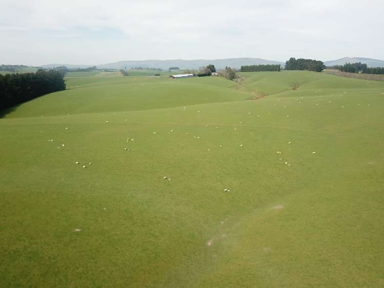 20 Carruthers Road Pomahaka_17