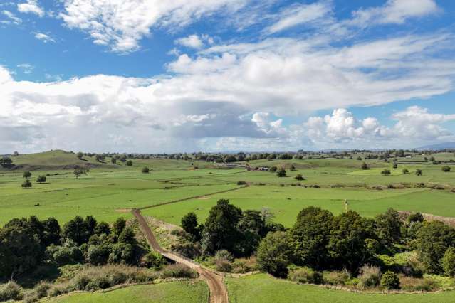 229 Candy Road Te Awamutu_3