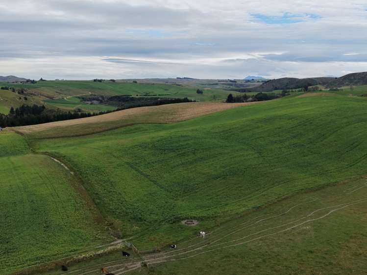 158 Kowhatu Road Waimate_17