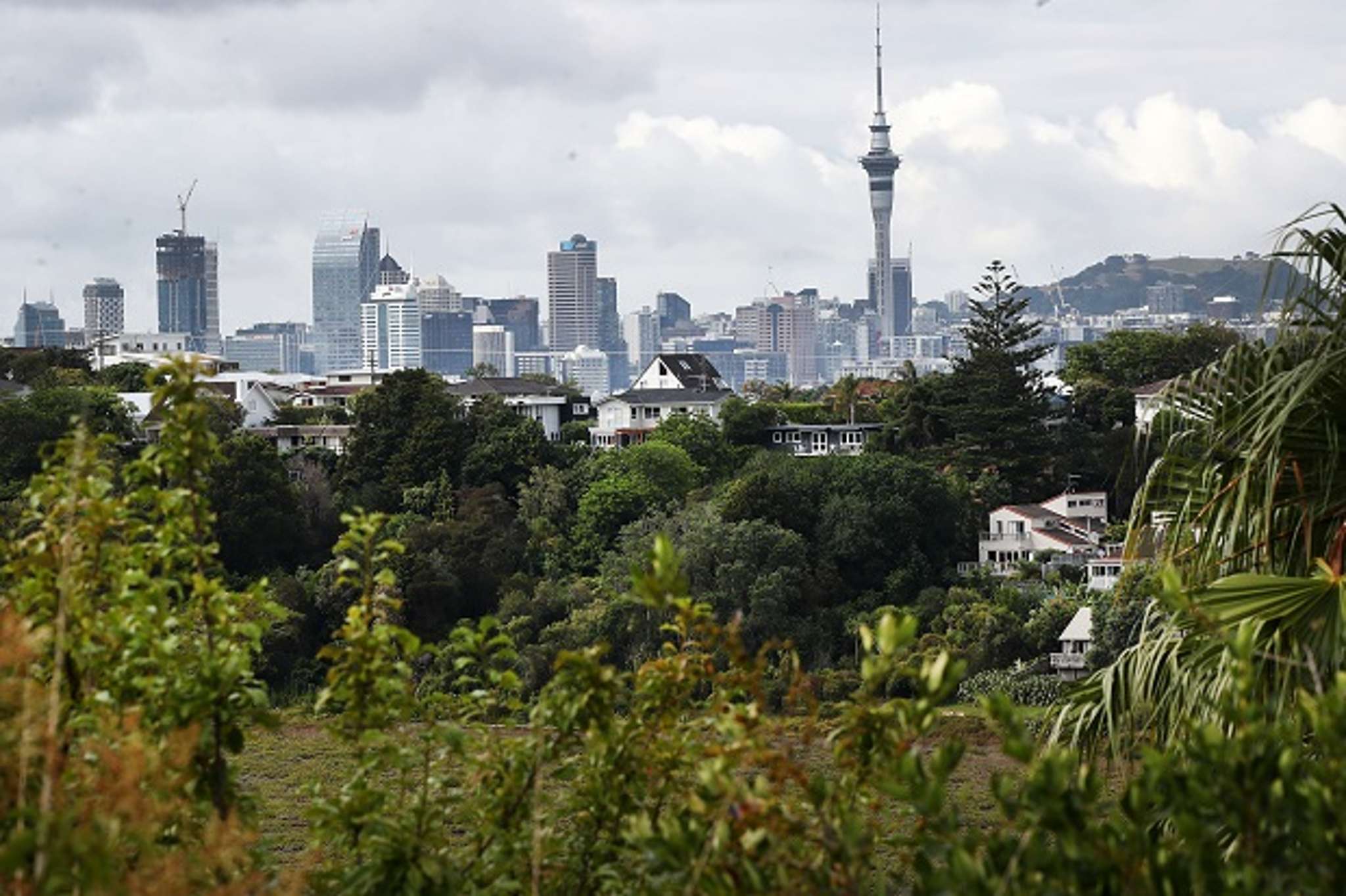 Auckland property market went into lockdown on record high