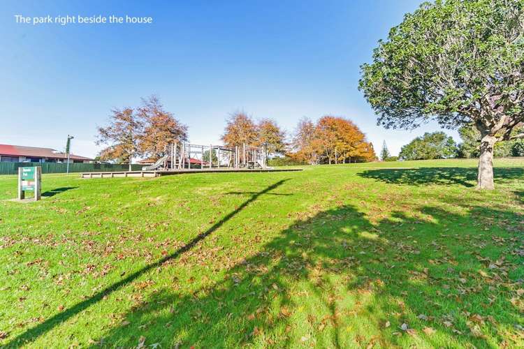 74 Nikau Street New Lynn_14