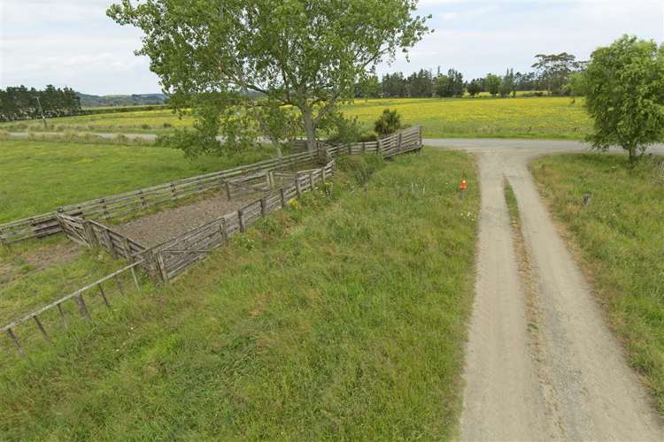 Green Road Parakai_1