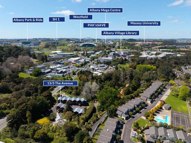 13/3 The Avenue Albany_16