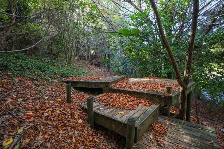 15 Taiporutu Place Springfield_16