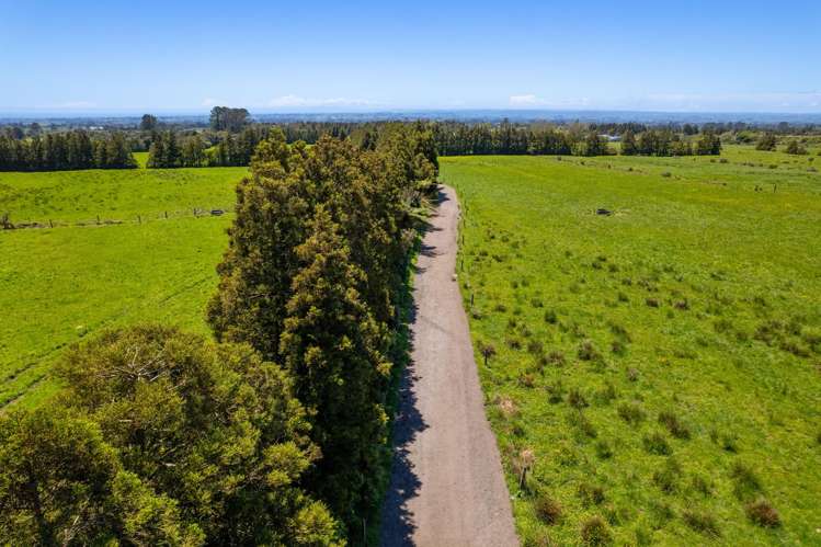 869 Dudley Road Upper Kaimiro_24