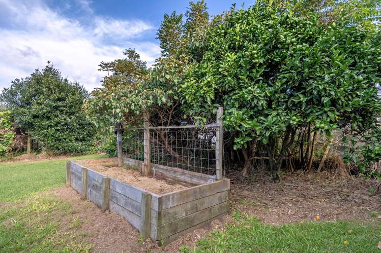 5 Whakaari Road Waiotahe_31