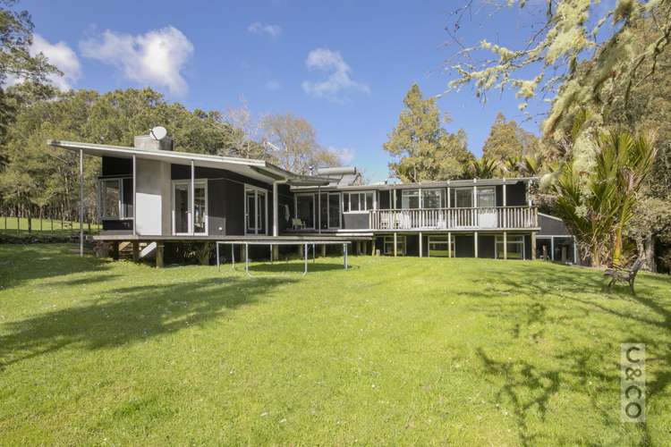 353 Taylor Road Helensville_0