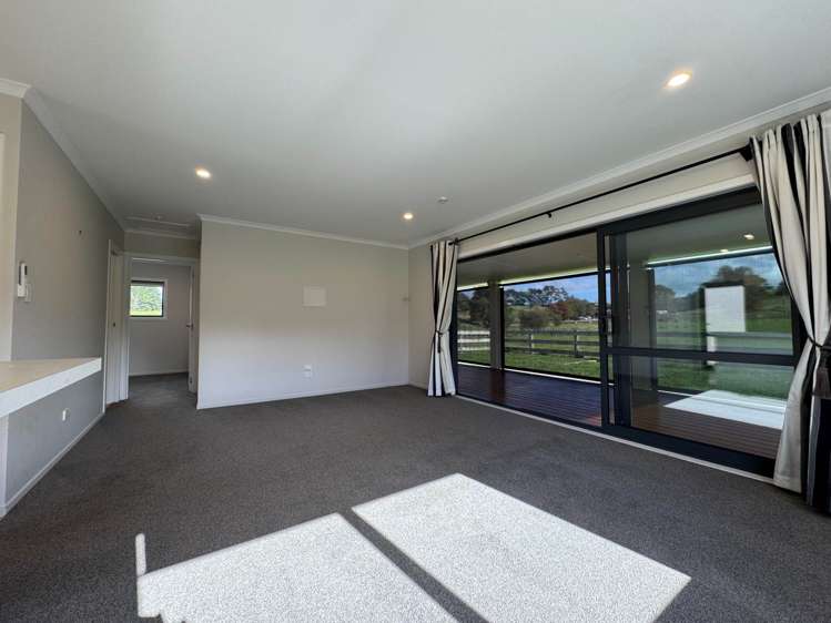 17 Butcher Road Pukekohe_6
