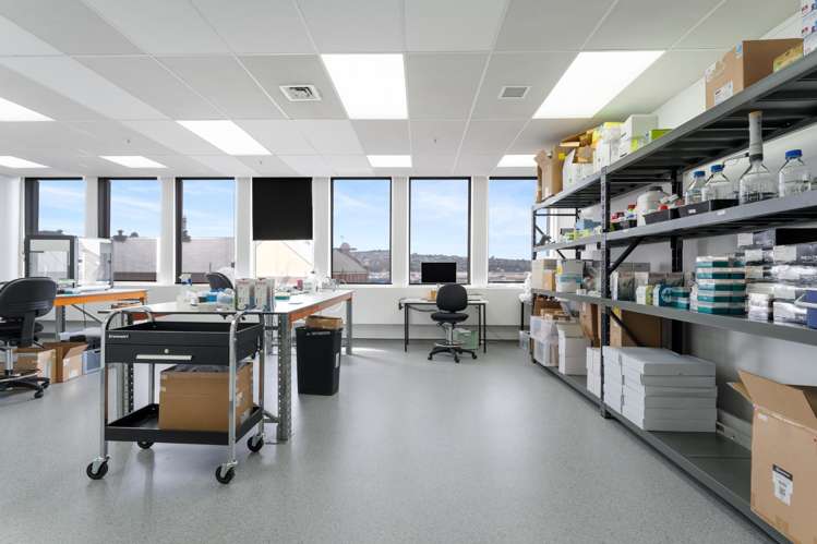 248 Cumberland Street Dunedin Central_44