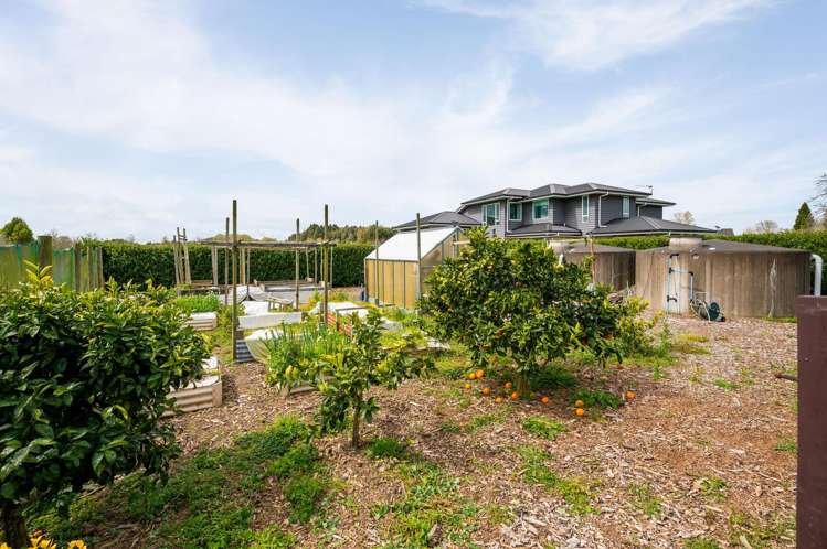 751B Gordonton Road Gordonton_48