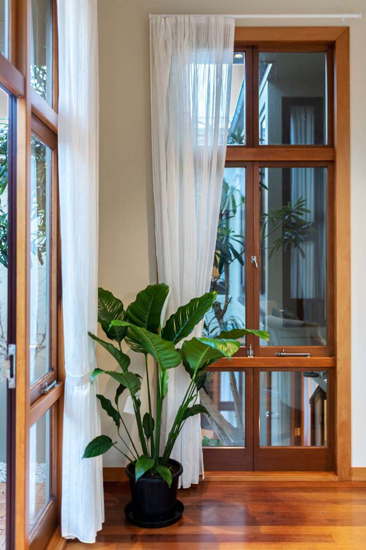 99 Orakei Road Remuera_14