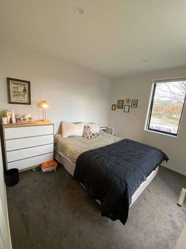 94 Strickland Street Sydenham_4