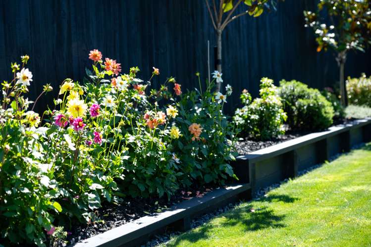 5 Spirit Terrace Rolleston_15