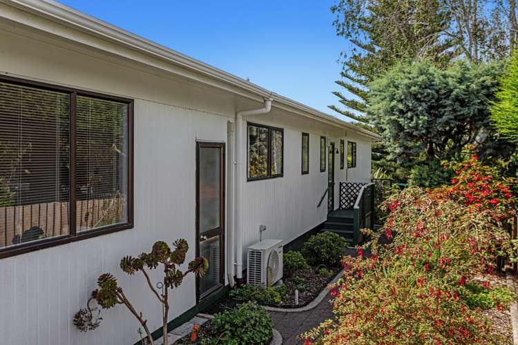 17 Hukutaia Road Opotiki and Surrounds_5