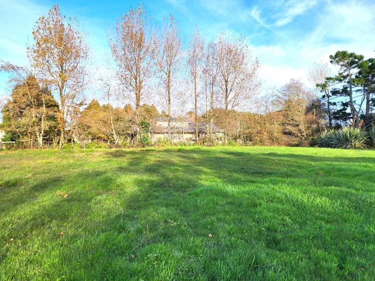 Pandora Avenue Camerons_7