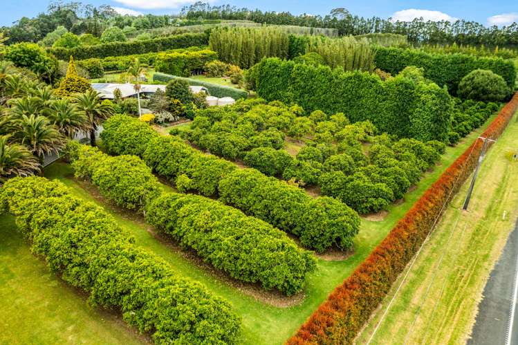 1322 State Highway 10 Kerikeri_14