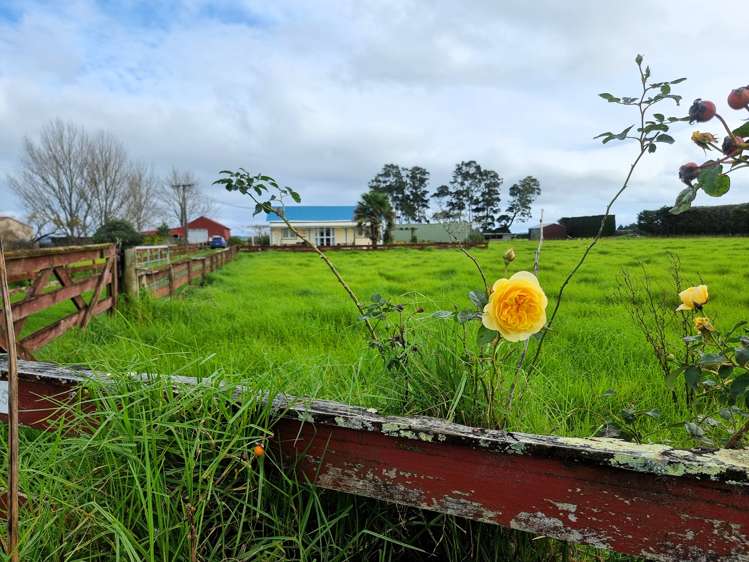 6453 State Highway 12 Dargaville Surrounds_23