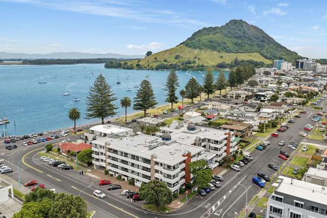 310/36 Victoria Road Mount Maunganui_4