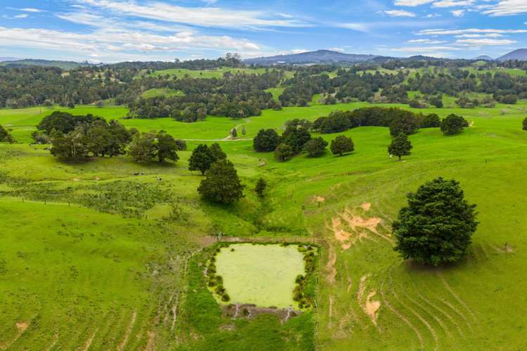 1070 Tangihua Road Maungakaramea_29