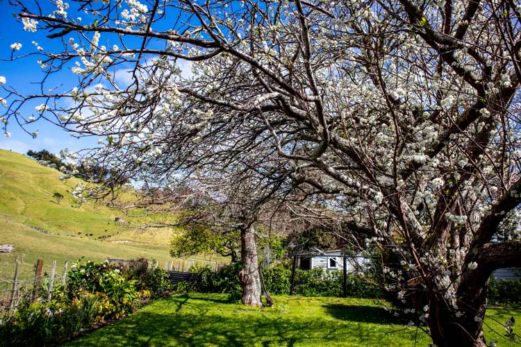 291 Hokianga Harbour Drive Omapere_30