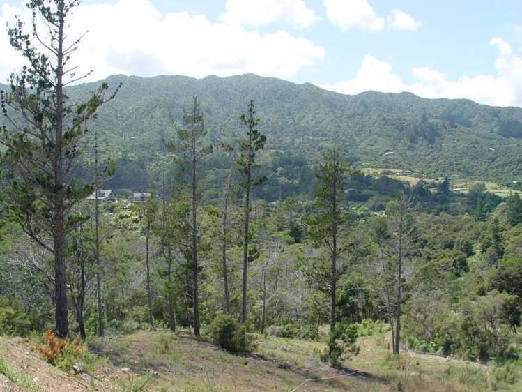 93a Colville Road Coromandel_5