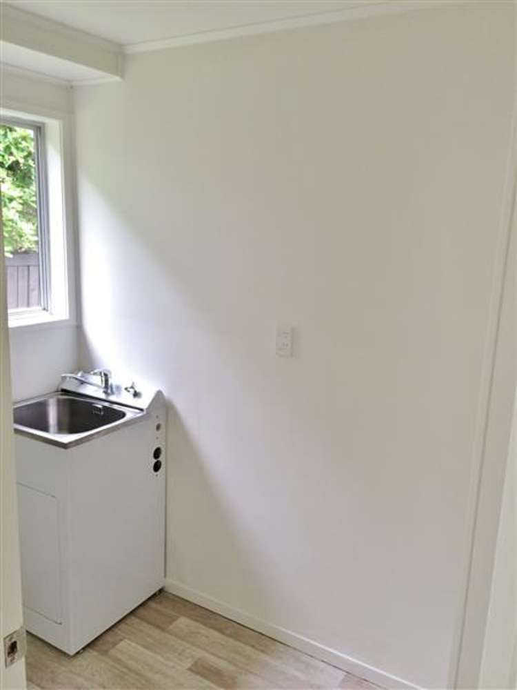 344 Roscommon Road Clendon Park_11