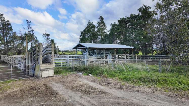 500 Willowford Road Waiwhare_19