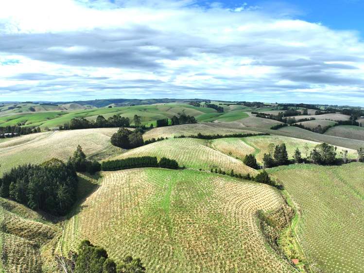 174 McCulloch Road Awamangu_25