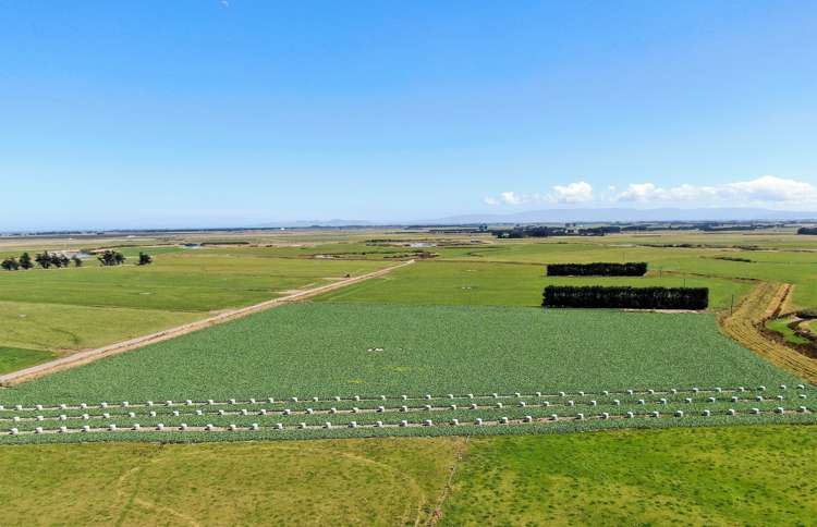 179 Dunlop Street Wallacetown_20