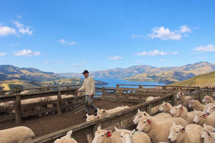 194 Okains Bay Road Akaroa_30