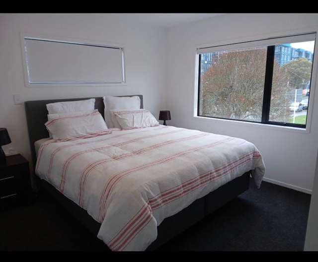 216A Lake Road Northcote_3