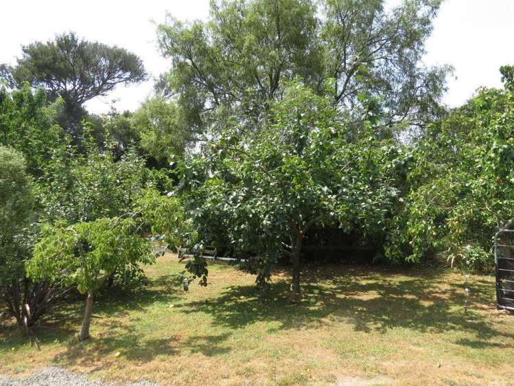 237 Waituna Road Pahiatua_14