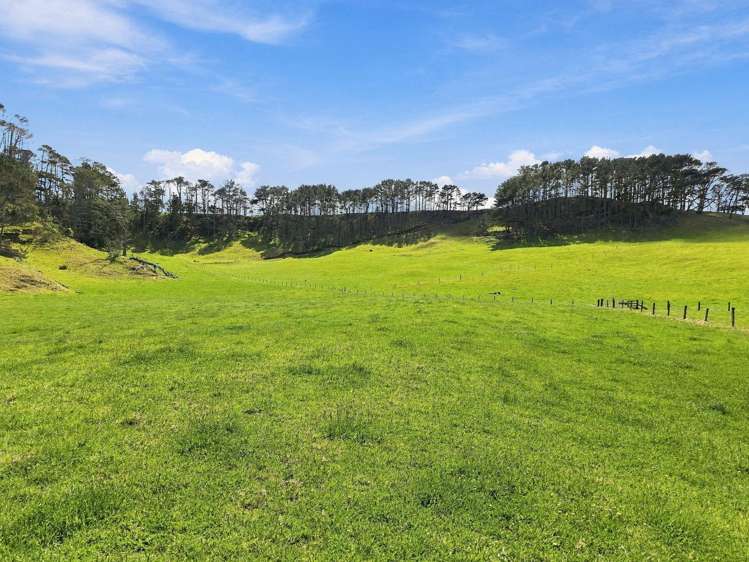 Mount Wesley Coast Road Dargaville_10
