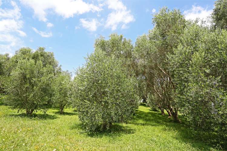 3699 Highway 22 Whangape_14