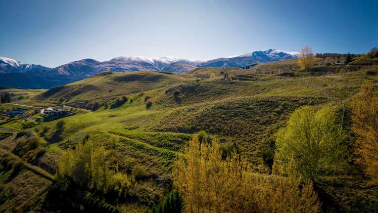 60 Wilding Road Lake Hayes_6