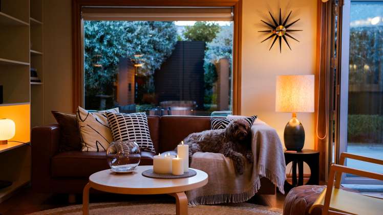 14 Brighton Street Island Bay_8